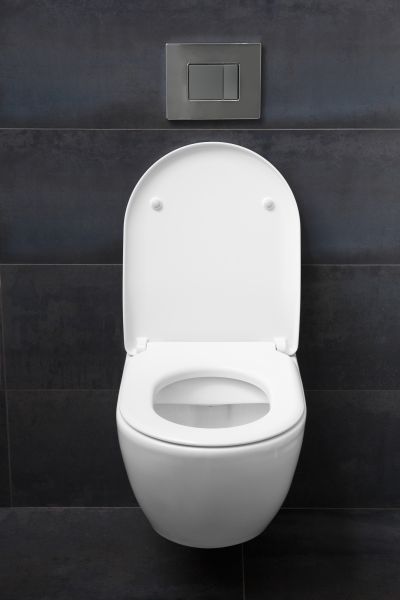 Toilet Lid Installation